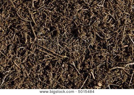 Soil Background Texture