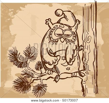 Sleeping owl with on pine branch