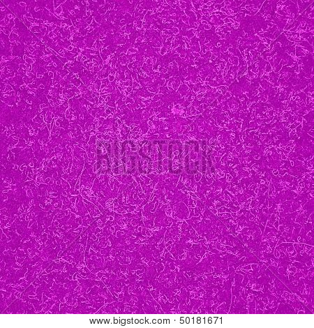 Pink Carpet