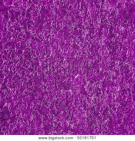 Pink Carpet