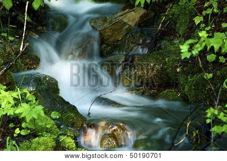 Nature Creek