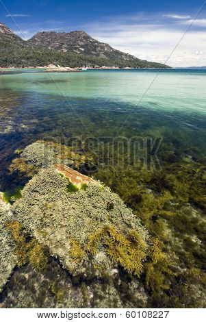 Honeymoon bay, Freycinet National Park, Tasmania, Australia