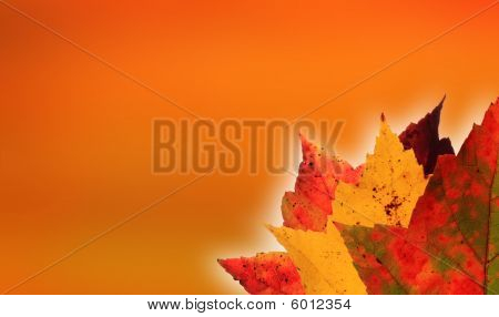 Folhas de outono fundo laranja
