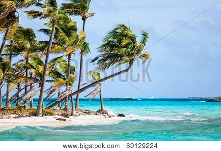 Tropical island in Bahamas with palm trees on a beach 