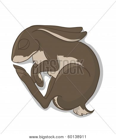 Slepping Rabbit Brown