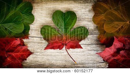 Irish Canadian Flag Art Concept