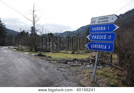 Rime Damaged Trees Near Canebola