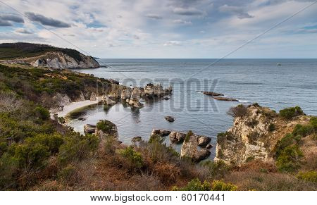 Blacksea Coast Of Turkey