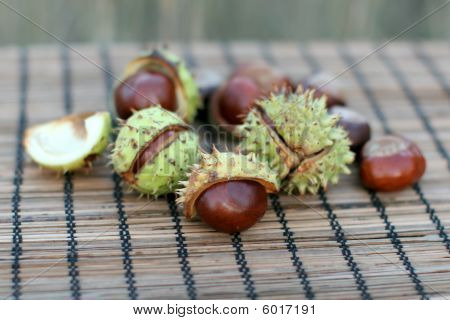 Conker