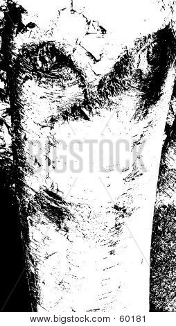 Le visage de l'image de l'arbre
