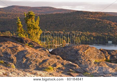 Pine Tree On Mountain Top