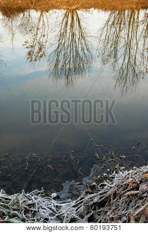Winter morning in the mirror of the river