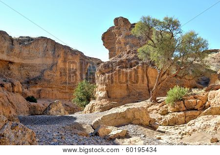 Sesriem Canyon Near Sossusvlei. Namibia