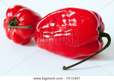 Habanero