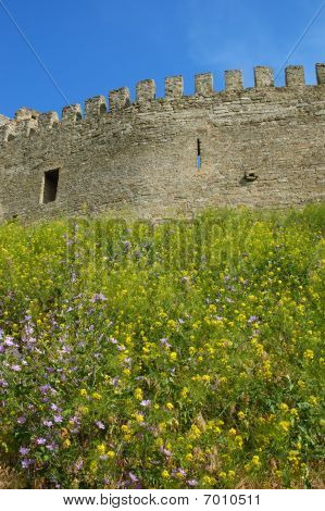 mittelalterliche Burg