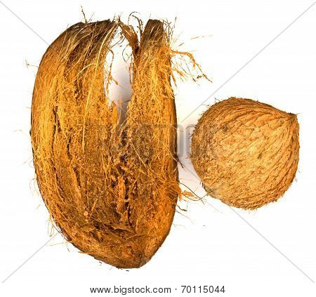 Coconut Shell And Coconut Spathe On White