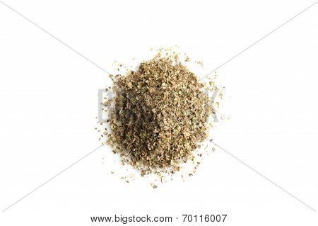 Marjoram
