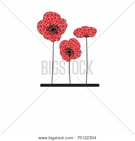 Poppy