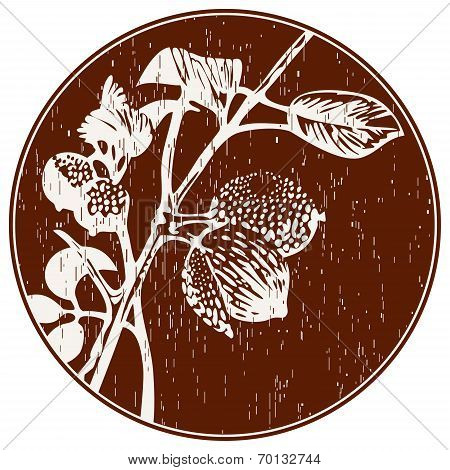 Abstract Composition With Nutmeg