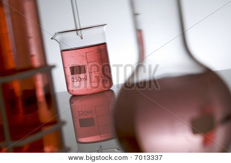 Labor