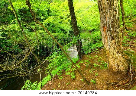 Matthiessen State Park Waterfall Illinois