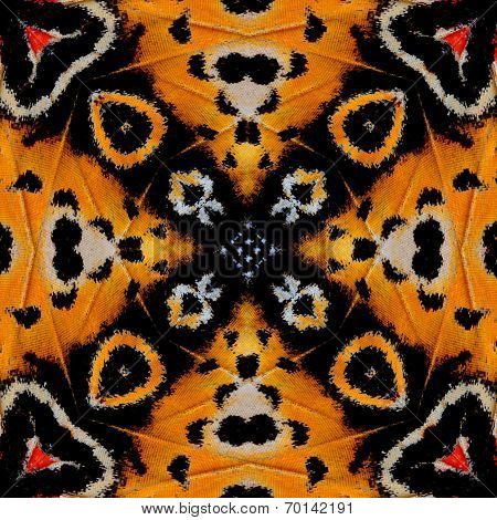Beautiful of black and yellow background pattern made from leopard lacewing butterfly wings texture