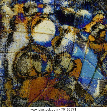 Exotic Multicolor Background Patterned From Blue Pansy Butterfly Wing Texture