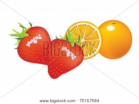 Fruit