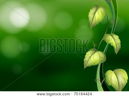 Illustration of a vine with green background