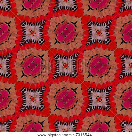 Nice Red Background Patterns Made Of Beautiful Leopard Lacewing Butterfly's Wing
