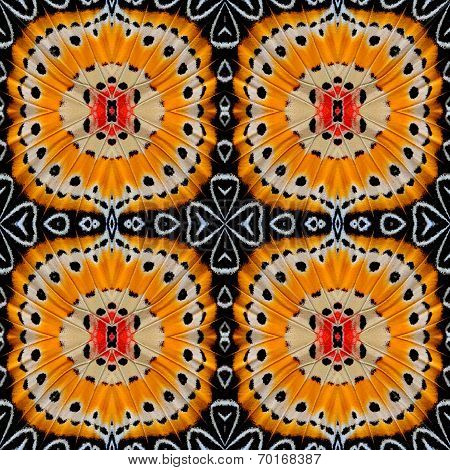 Seamless Of Beautiful Background Pattern Made From Leopard Lacewing Butterfly Wings Skin Texture