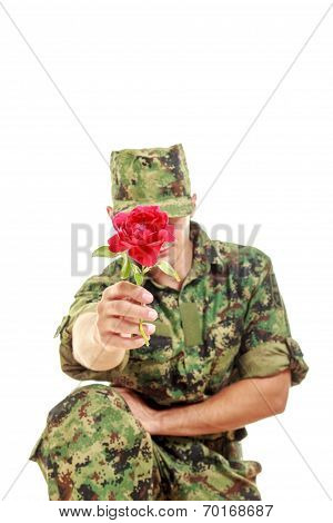 Soldier In Camouflage Uniform Kneeling Holding Flower