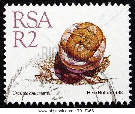 Postage Stamp South Africa 1988 Crassula Columnaris, Succulent Plant