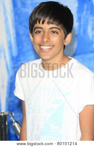LOS ANGELES - NOV 19: Karan Brar at the premiere of Walt Disney Animation Studios' 'Frozen' at the El Capitan Theater on November 19, 2013 in Los Angeles, CA