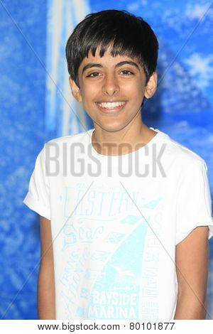 LOS ANGELES - NOV 19: Karan Brar at the premiere of Walt Disney Animation Studios' 'Frozen' at the El Capitan Theater on November 19, 2013 in Los Angeles, CA