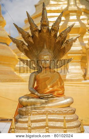 buddha statue in the temple of Thailand