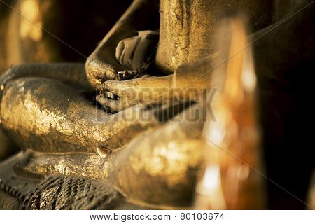 buddha statue in the temple of Thailand