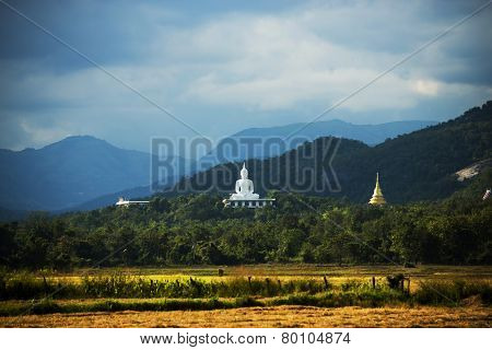 white buddha statue and havested field rice ,Thailand