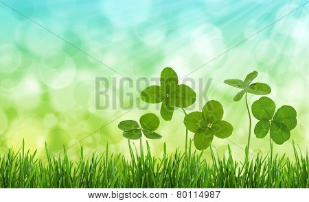 Close-up Shot Of Four-leaf Clovers In A Field.