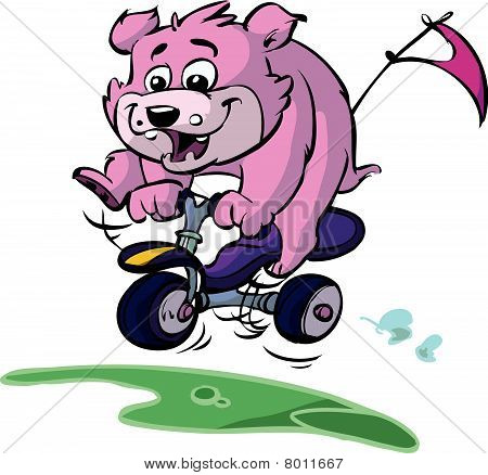 bear on bike