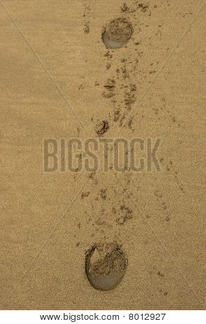 Ballybunion หาดทรายม้า Hoofprints