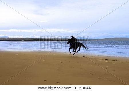 ม้าและไรเดอร์ Galloping ริมฝั่งทะเล