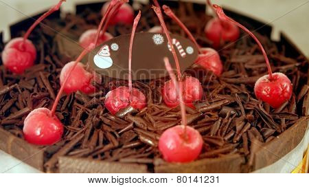 Colourful chocolate ice cream cake with cherries for celebration