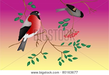Birds on a tree. Twilight. Vector.