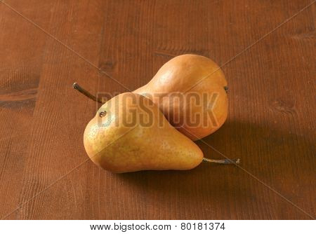 European pears with elongated slender neck and russeted skin