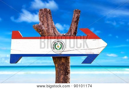 Paraguay Flag wooden sign with lake background