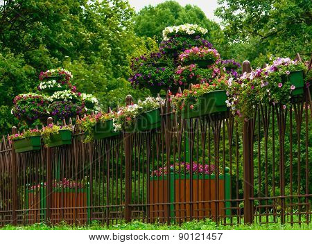 Fence with flowers