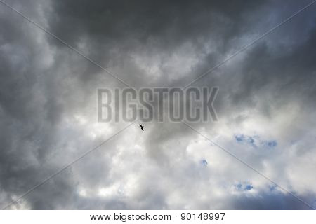 Bird flying into deteriorating weather in spring