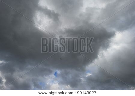 Bird flying into deteriorating weather in spring