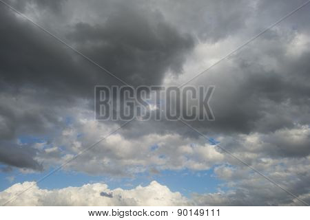 Bird flying into deteriorating weather in spring